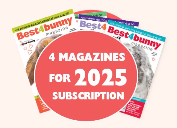 4 issues for 2025